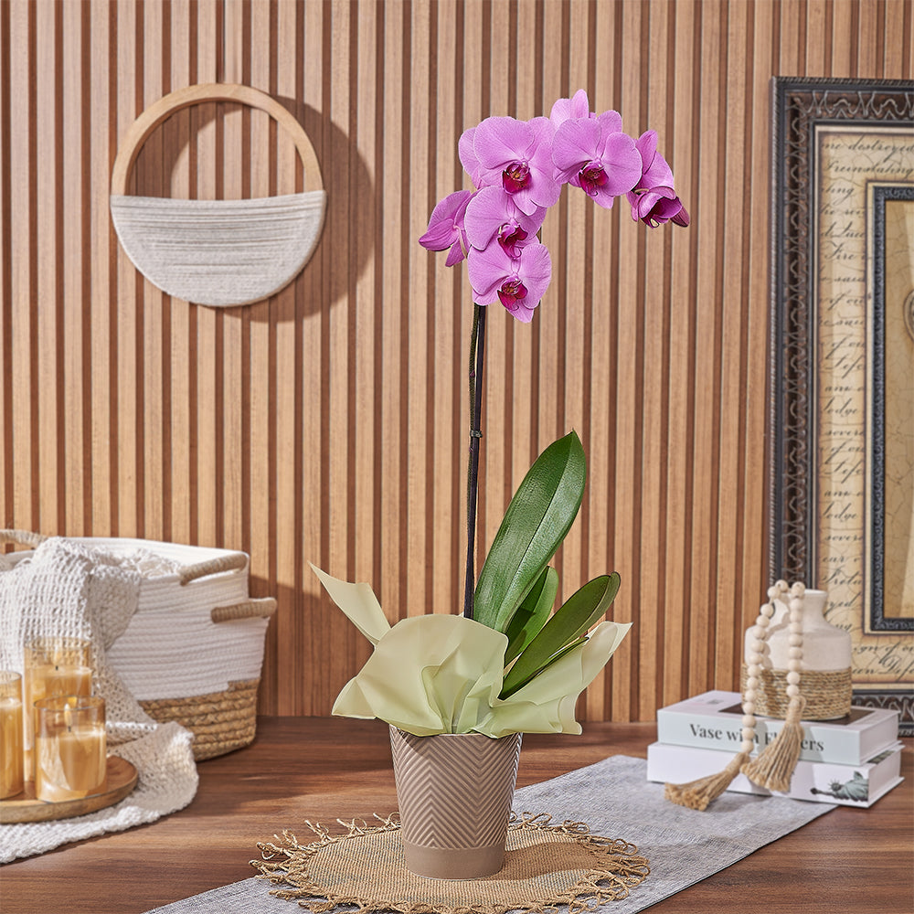 Pink Orchid Ceramic Planter – how the gift is presented