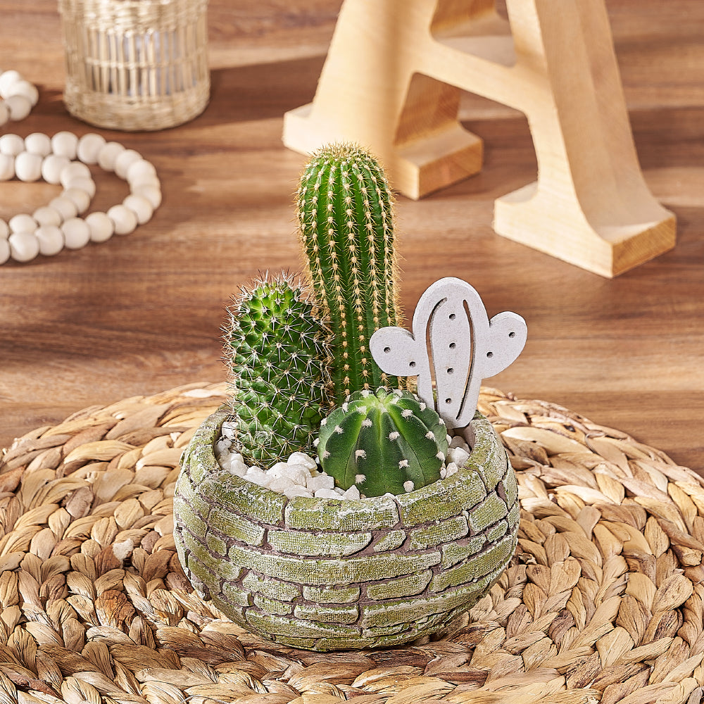 Three Assorted Cactus Plants in Brick Pot Planter – how the gift is presented
