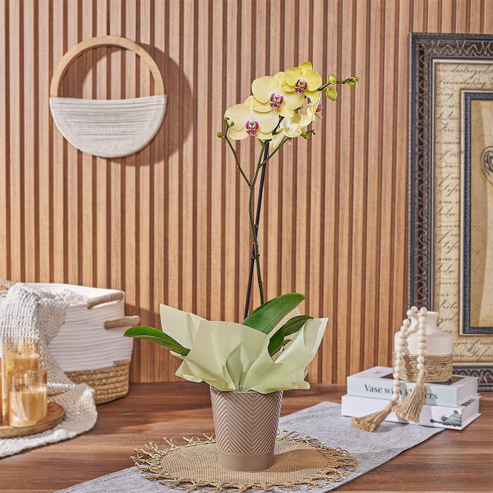 Yellow Phalaenopsis Orchid Ceramic Planter – how the gift is presented