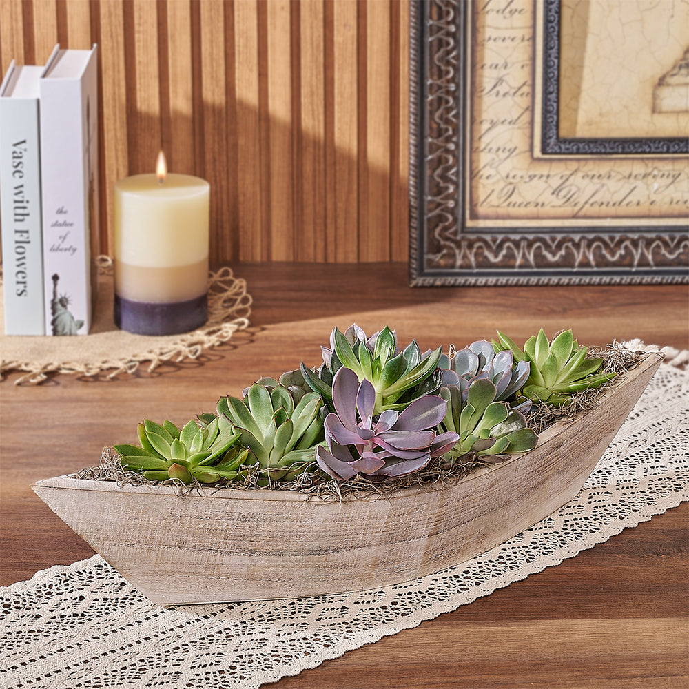Boat Planter Succulent Garden – how the gift is presented