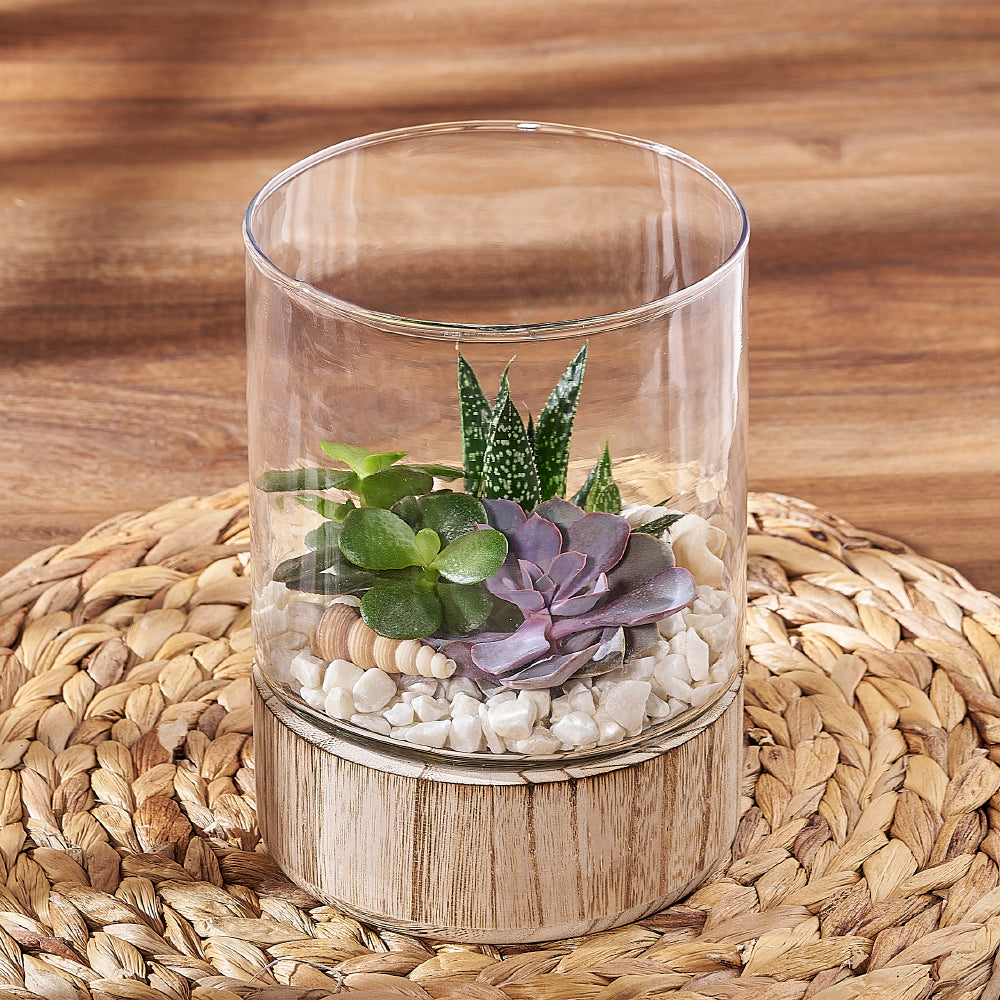 Elegant Succulent Garden in Raised Glass Terrarium – how the gift is presented