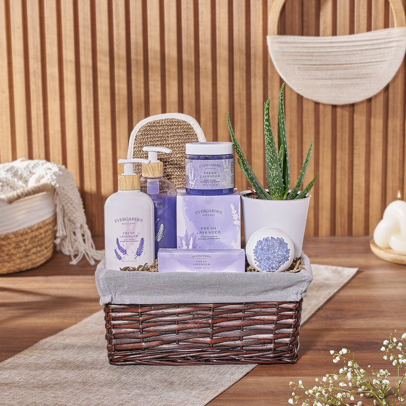 Natural Beauty Succulent & Spa Gift Set "“ Spa gift baskets "“ Vancouver delivery