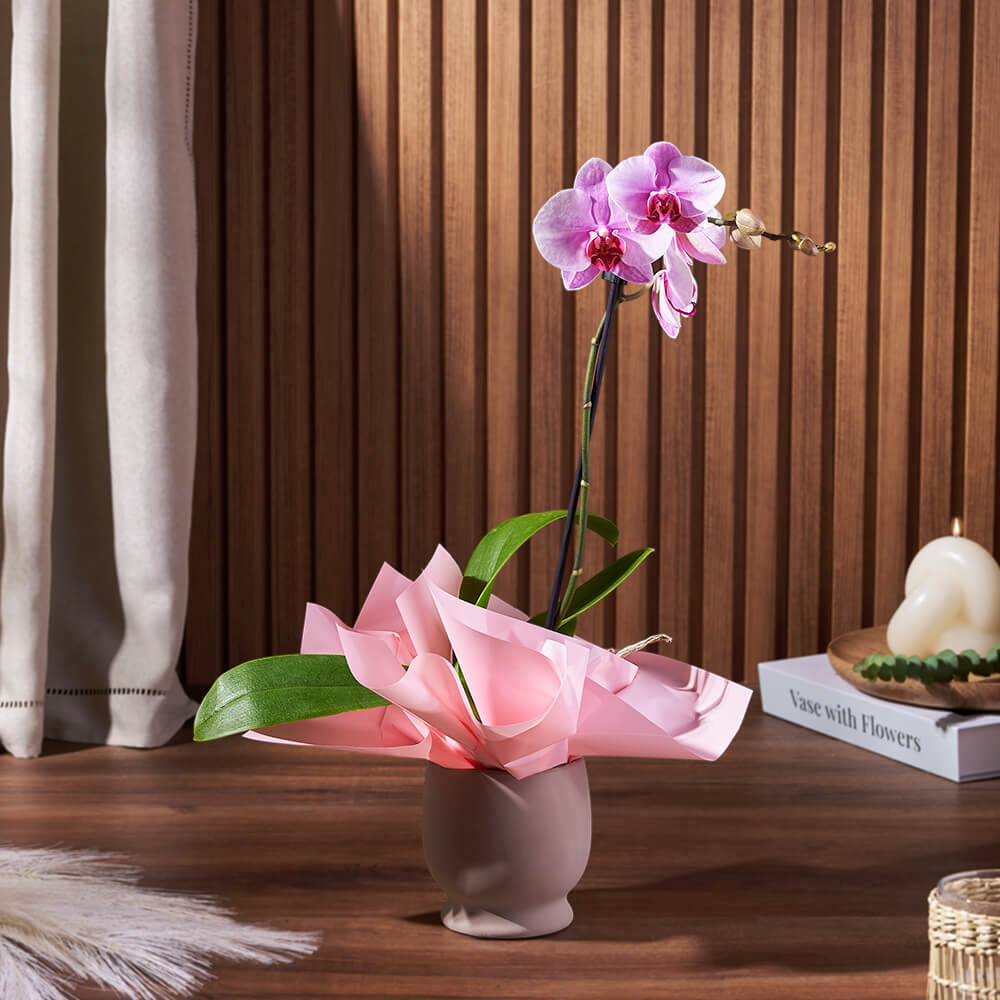 Phalaenopsis Orchid Ceramic Pot – how the gift is presented