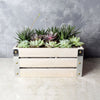 Amesbury Succulent Crate - Vancouver Baskets - Vancouver Baskets Delivery