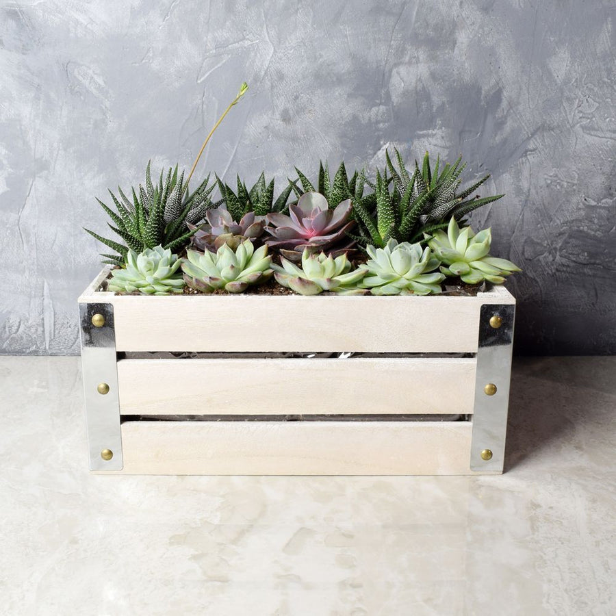 Amesbury Succulent Crate - Vancouver Baskets - Vancouver Baskets Delivery