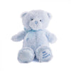 Blue Best Friend Baby Plush Bear from Vancouver Baskets - Vancouver Delivery