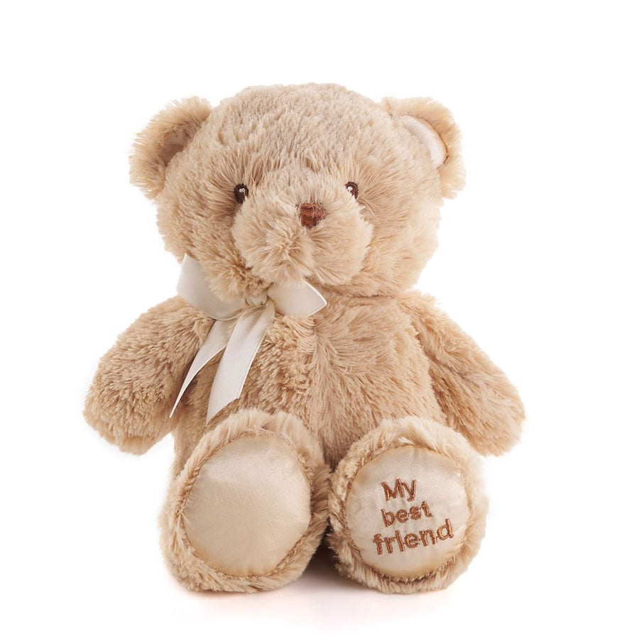 Brown Best Friend Baby Plush Bear from Vancouver Baskets - Vancouver Delivery