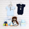 Deluxe Basket for a Baby Boy from Vancouver Baskets - Vancouver Delivery