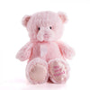 Pink Best Friend Baby Plush Bear from Vancouver Baskets - Plush Gift - Vancouver Delivery.