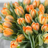 Seasonal Flowers of The Month from Vancouver Baskets - Vancouver Delivery