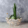 St. Lawrence Potted Succulent Garden from Vancouver Baskets - Vancouver Delivery