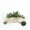 Succulent Rock Garden from Vanocuver Baskets - Planter Gift - Vancouver Delivery