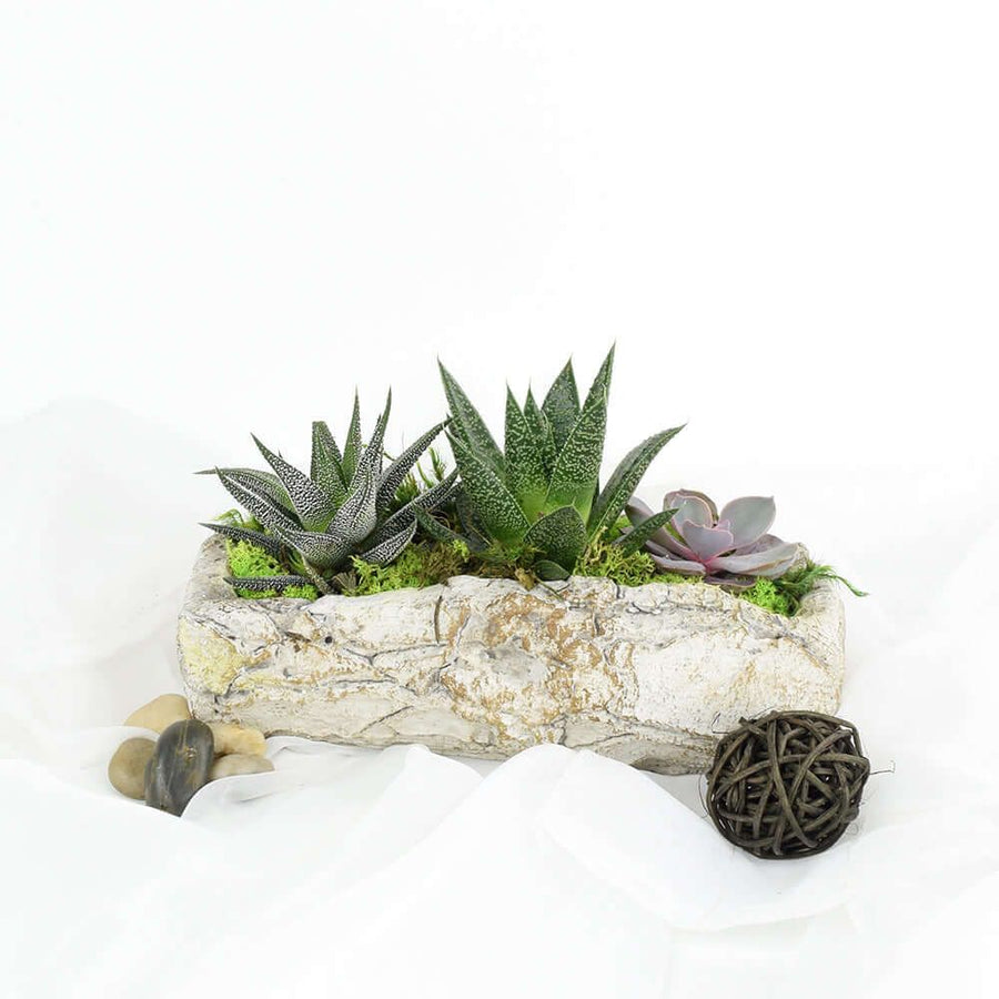 A carved nook in a large stone can be the perfect place for a few succulents to take root. Succulents are incredibly easy to take care of, so even if you don't have the greenest thumb. And remember, you can also have additional items included in your order to personalize it further, like gourmet snacks or a bottle of liquor or wine. Give a beautiful gift every time from Vancouver Baskets -Vancouver Delivery