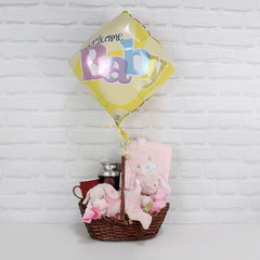 Welcome Newborn Baby Girl Gift Basket