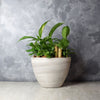 Woodbine Tropical Plant Garden From -Vancouver Baskets - Vancouver Delivery